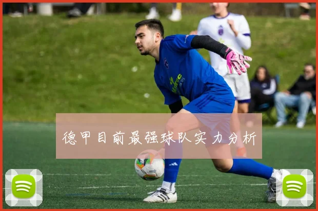 德甲目前最强球队实力分析