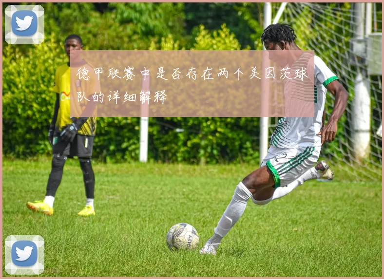 德甲联赛中是否存在两个美因茨球队的详细解释